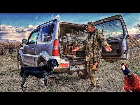 Видео: Охота на фазана и охота на утку с собакой Русский спаниель.