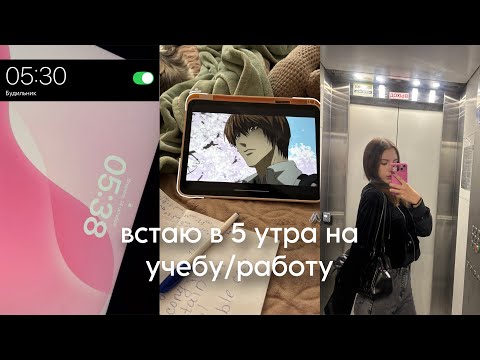 Видео: Встаю в 5 утра на учебу/работу🧘‍♀️🖇️ | Мой день с 5 утра 