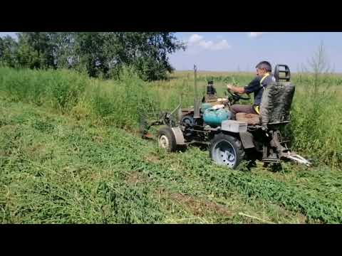 Видео: Ліс бур'яну на картоплі😱