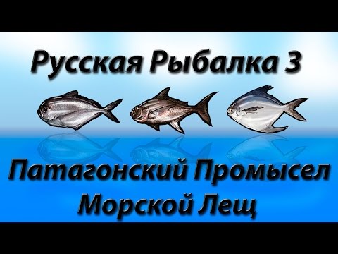 Видео: Патагонский Промысел Морской Лещ