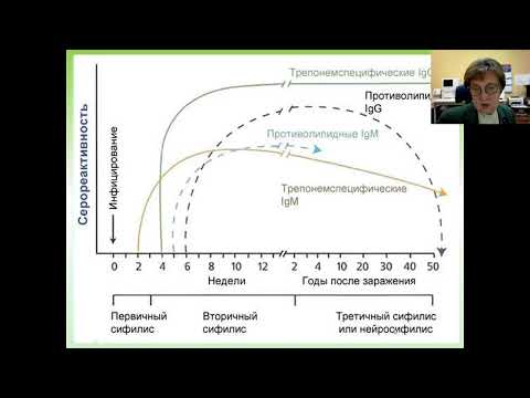 Видео: Лекция 30.11.21 4кМПФ Оценка иммунного статуса. CD  кластеры. доц.каф. Стюф И.Ю.