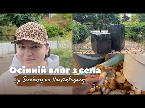 Видео: ОСІННІЙ ВЛОГ З СЕЛА: БУДНІ ПІД ЗВУКИ ШАХЕДІВ, БАГАТО ГРИБІВ І ТАЄМНИЧІ ЧОРНІ КОРОБКИ