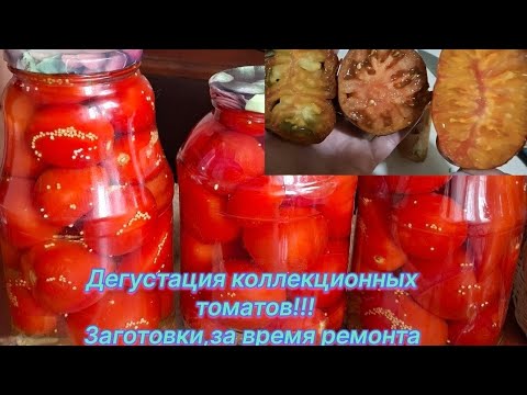 Видео: Дегустация коллекционных томатов,на 28 сентября 2025 год!!!Заготовки во время ремонта кухни!!!