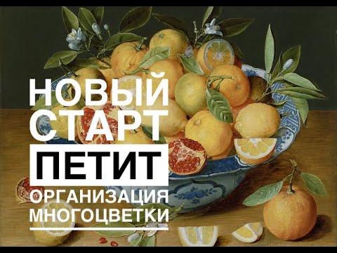 Видео: ПЕТИТ/ Организация многоцветного процесса/ Натюрморт от Эстэ/Вышивка крестикои и немного Флориды