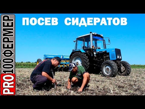 Видео: Мы переходим на сидераты! Посев гороха на сидерат