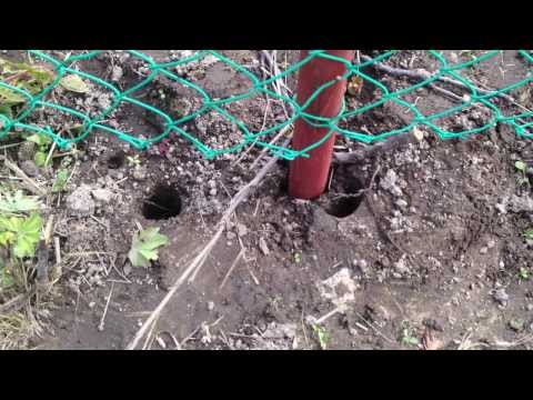 Видео: Монтаж установка забора из сетки рабица. Все по уму. Чужими руками.