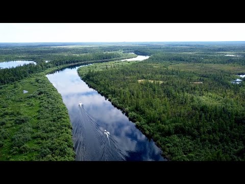 Видео: Экспедиция Полярный Урал 2020