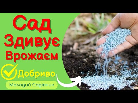 Видео: Осіння підкормка Саду що Змінить Все! | Осіннє підживлення саду