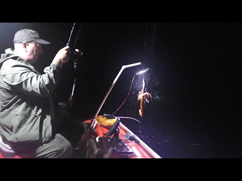 Видео: КАЛЬМАР СТОИТ СТЕНОЙ!!! ЛОВЛЯ НА ВОБЛЕРА И ЯРУС/ НА ЧТО ЛУЧШЕ КЛЮЁТ КАЛЬМАР!!! СЕЗОН 2021.21-22/07.