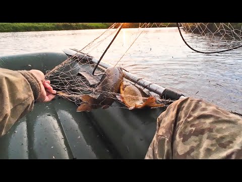 Видео: РЫБАЛКА НА СЕТИ. КРУПНЫЕ КАРАСИ СПУТЫВАЮТ СЕТИ. ПРОВЕРКА СЕТЕЙ НА ЗАКАТЕ СОЛНЦА.
