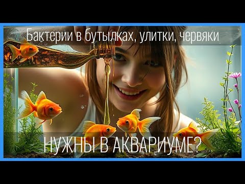 Видео: ПОЛЕЗНЫЕ БАКТЕРИИ для запуска фильтра и подмен НУЖНЫ? Польза от УЛИТОК и ЧЕРВЕЙ. Не всё то золото...