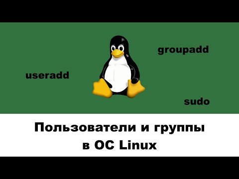 Видео: Пользователи и группы в ОС Linux (минилекция)