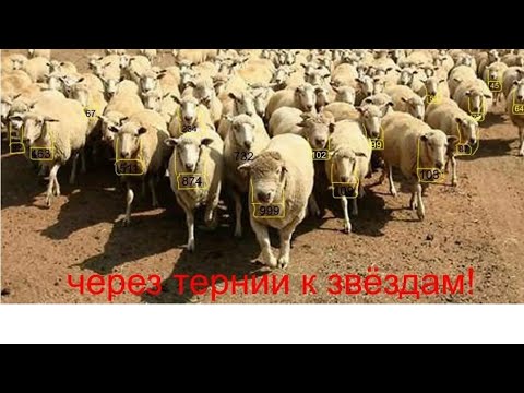 Видео: РАБЫ И МОБИЛИЗАЦИЯ!!! УТИЛИЗАЦИЯ НА КОТОРУЮ ИДУТ ДОБРОВОЛЬНО!!!