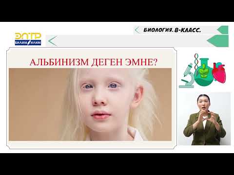 Видео: КӨБӨЙҮҮ