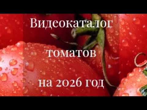 Видео: Томаты, которые обязательно нужно попробовать 🍅🍅🍅 Ватсап +79373268768