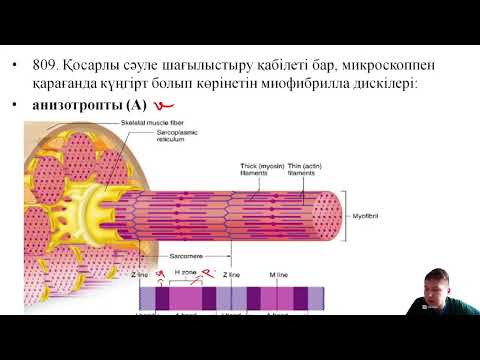 Видео: БИОЛОГИЯ НҰСҚА ТАЛДАУ | ҚАҢТАР ҰБТ -2024 дайындық