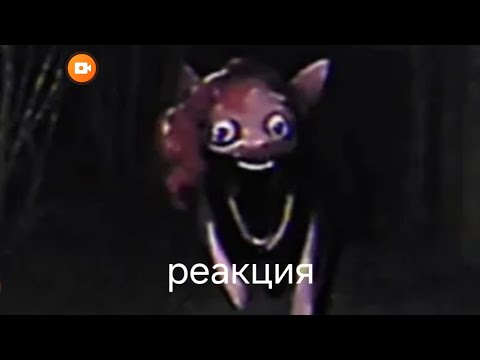 Видео: Ночная реакция на видео вирус уничтожающий пони  MLP infection AU  от канала Egwu