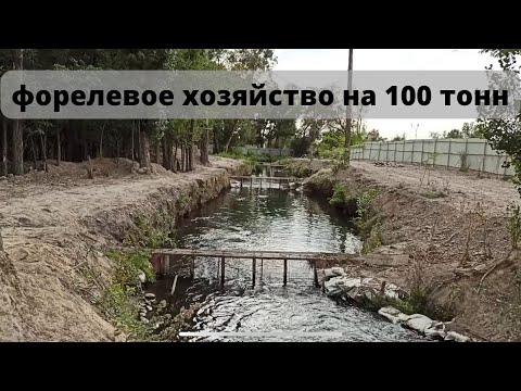 Видео: Продаётся форелевое хозяйство 4га. 100 тонн в год / Rainbow trout Farm Review