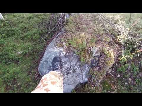 Видео: Лоухский район, лоухи, карелия