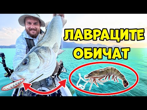 Видео: 5 дни БЕЗ ПОСОКА! ЕПИЧНО ПРИКЛЮЧЕНИЕ! Риболов на лаврак и ОГРОМНИ заргани!