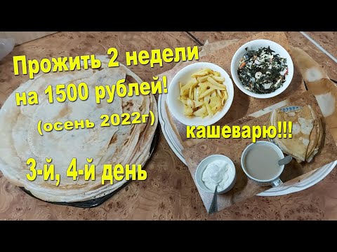 Видео: Прожить 2 недели на 1500 руб.! Осень 2022г! Первый донат)) Общие блинчики! Лапша! Без луковая диета)