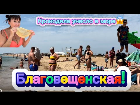 Видео: Благовещенская-реальная обстановка на пляжах! ШОК😱или все хорошо? Течение уносит в море сапы😱