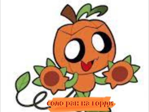 Видео: соло ран на горди