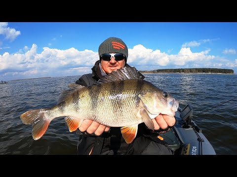 Видео: КАБАНСКИЕ ОКУНЯ!!! Жарю САЗАНА В ЛОДКЕ!