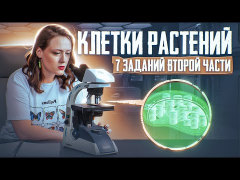 Видео: КЛЕТКИ РАСТЕНИЙ | 7 заданий второй части ЕГЭ по биологии| ЕГЭ-2025 по биологии