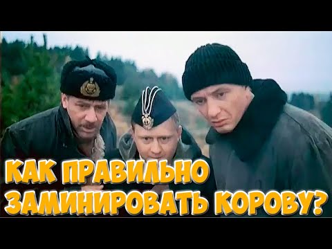 Видео: Байка из 72 метра. Про то, как правильно заминировать корову.