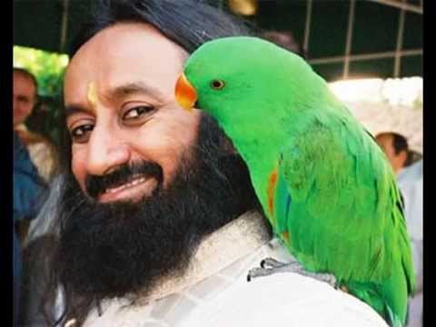 Видео: Гребень знания