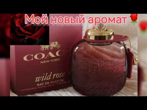 Видео: Coach Wild Rose. Новый аромат🌹❤️. #ароматы, #coach, #фавориты, #покупки