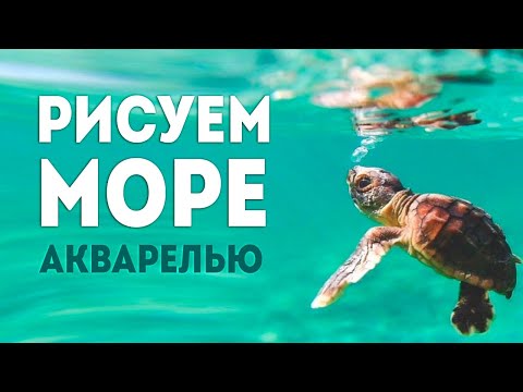 Видео: Как нарисовать море акварелью? Морской пейзаж, волны и черепашка.