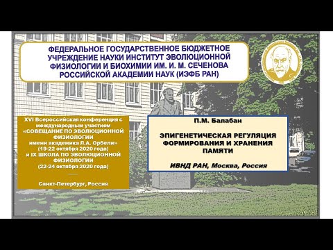 Видео: П.М. Балабан ЭПИГЕНЕТИЧЕСКАЯ РЕГУЛЯЦИЯ ФОРМИРОВАНИЯ И ХРАНЕНИЯ ПАМЯТИ