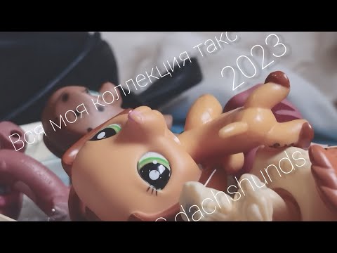Видео: LPS|Коллекция такс 2023|
