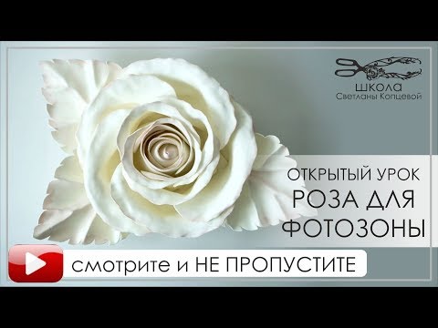 Видео: Бесплатный мастер класс РОЗА ДЛЯ ФОТОЗОНЫ Школа Светланы Копцевой преподаватель Светлана Копцева