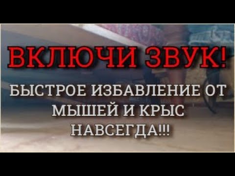 Видео: Звук от мышей и крыс Ультразвук от мышей и крыс Как избавиться от мышей быстро и навсегда