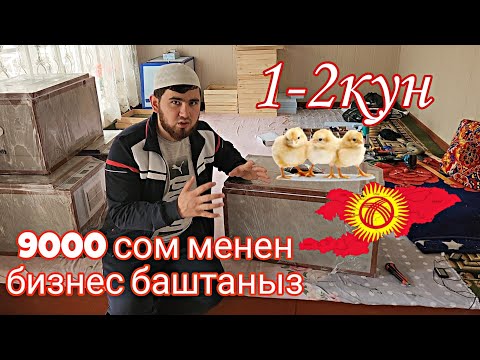 Видео: 1-2кун. Жожо ачыруу ОТ и ДО (1 часть)