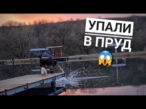 Видео: Персик с Валерой УПАЛИ в озеро?😨