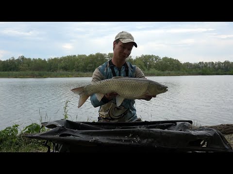 Видео: 24 ЧАСА НА РЫБАЛКЕ, ЛОВЛЯ КАРПА, КАРПФИШИНГ, CARPFISHING