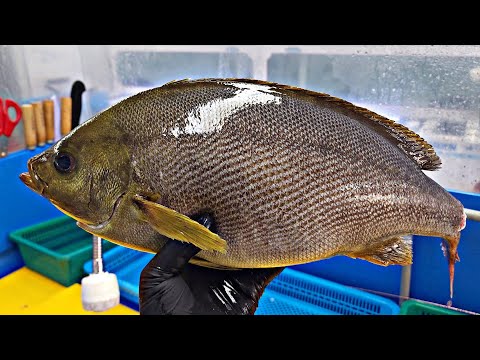 Видео: Рыба относится к дорогим и качественным ингредиентам.  Куриное хрюканье, Исаки