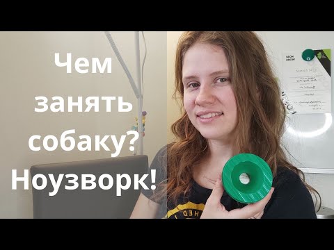 Видео: Используй супернюх собаки! Как пройти тестирование ноузворк и соревнования? Дрессировка, Казань