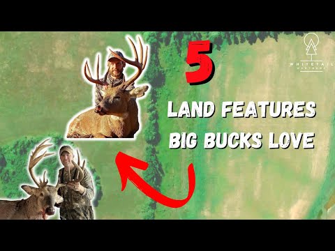 Видео: Вот 5 ключевых особенностей земли, которые большие деньги используют в качестве маршрутов для пут...