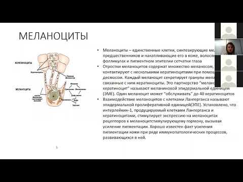 Видео: «Все о гиперпигментации. Симптомы, причины и тактика лечения».