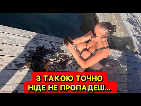 Видео: ШУКАВ МІДЬ, ЗНАЙШОВ ЗОЛОТО.😂😇АДМІН НАЛОВИЛА МІДІЙ 🐌 НЕ ВІДПОЧИВАВ ТРИ РОКИ…