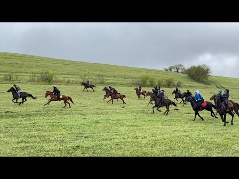 Видео: Конный пробег в Нарзанном на 17 км - Старт, финиш, награждение. Май 2025