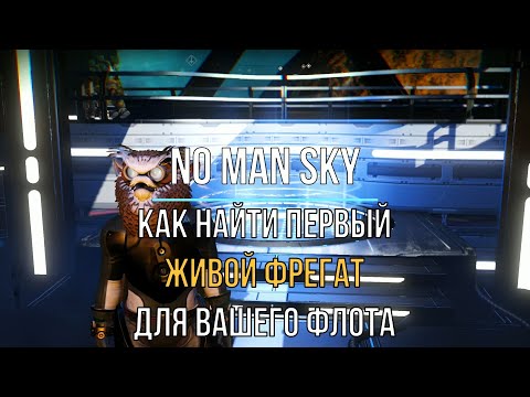 Видео: Как найти первый живой фрегат для Вашего флота в NO MAN SKY Гайд 2022