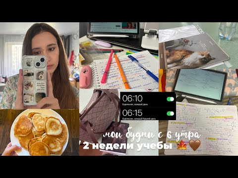Видео: Study vlog: 2 учебные недели / учеба с 6 утра 🗒️