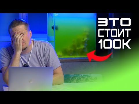 Видео: Сколько  стоит мой аквариум ?