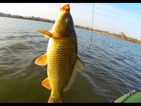 Видео: Ловля карпа на кружки(бутылку)